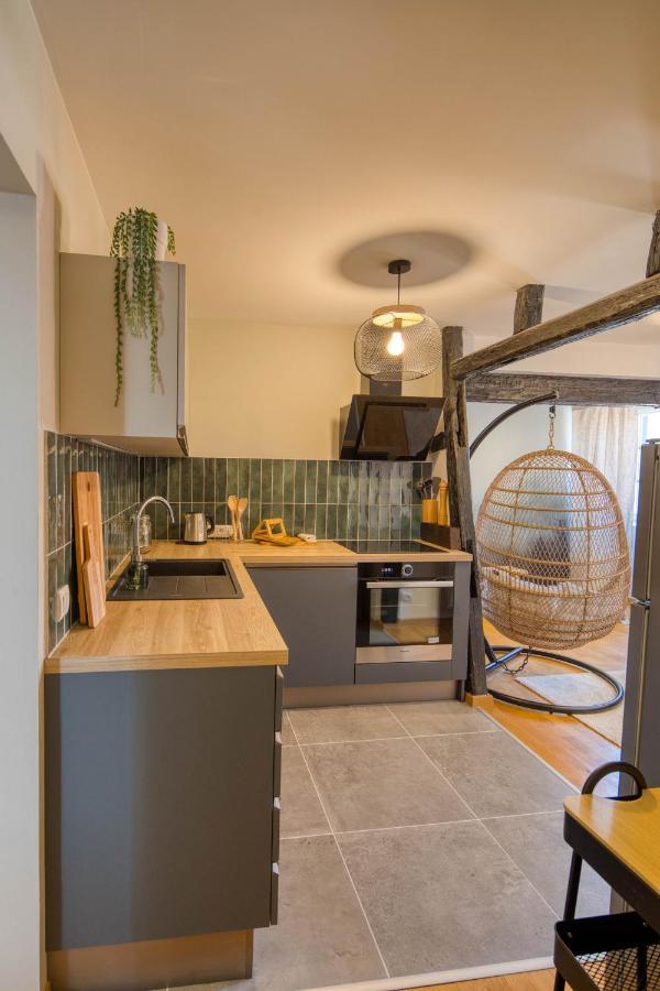Appartement Le Verdoyant Hyper Centre Avec Sauna Et Parking Колмар Екстериор снимка