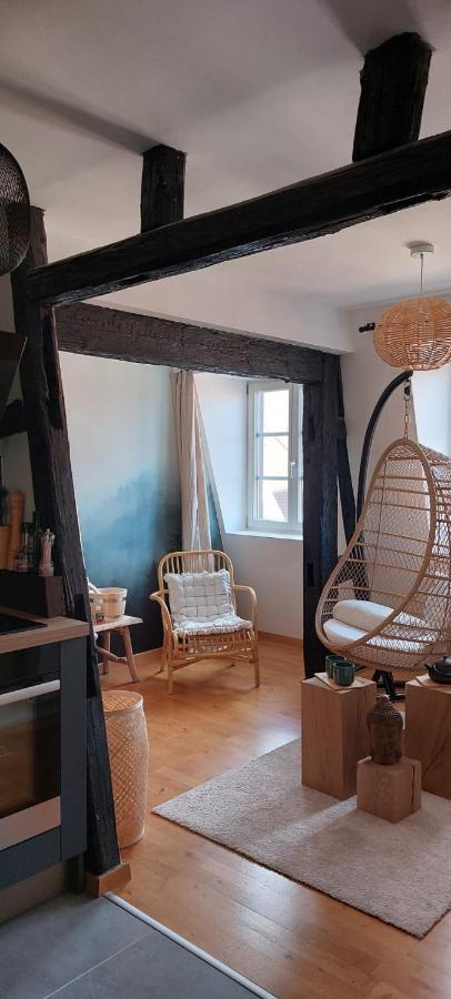 Appartement Le Verdoyant Hyper Centre Avec Sauna Et Parking Колмар Екстериор снимка